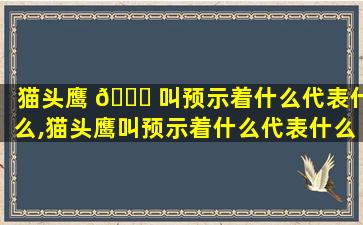 猫头鹰 🍁 叫预示着什么代表什么,猫头鹰叫预示着什么代表什么意思